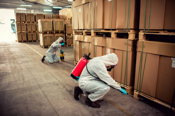 Best Pest Removal Services  in Seminole, FL