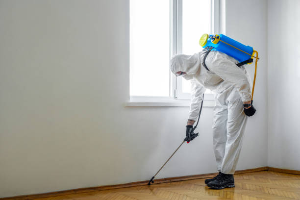 Best Affordable Pest Control Services  in Seminole, FL