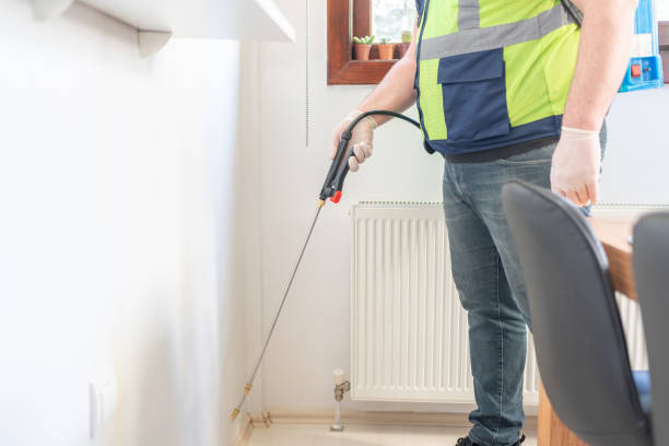 Best Local Pest Control Services  in Seminole, FL