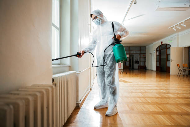 Best Termite Control Services  in Seminole, FL