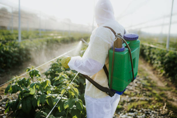 Best Residential Pest Control  in Seminole, FL